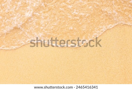 Similar – Image, Stock Photo Wet ocean beach sand with dark wild seaweed. Low tide ocean shore scenery in Ireland.