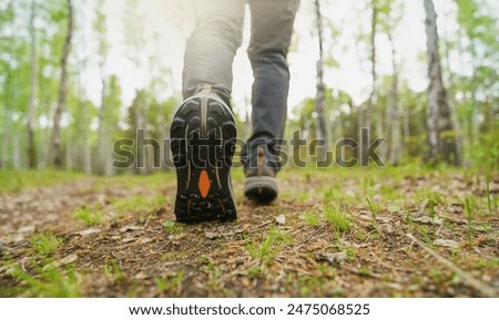 Similar – Foto Bild Ein Mann wandert mit einem kleinen Hund auf einem Waldweg. Rückansicht