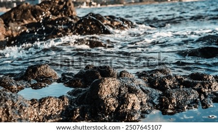 Similar – Image, Stock Photo Further wet beach in the shimmer of the sunset. Waves, clouds and people in the distance.