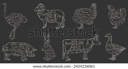 A set of animal cuts for the butcher shop. Beef, cow, goose, pork, ram, ostrich, rabbit, rabbit, turkey, chicken. Vector illustration in white lines on dark background