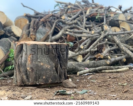 Similar – Image, Stock Photo felled tree in forest