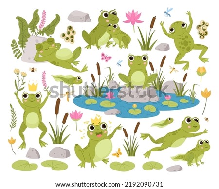 Cartoon frogs, green toads, amphibian tadpoles in natural habitat. Cute froggy in various poses, water animals with pond flat vector illustrations set. Green frogs bundle