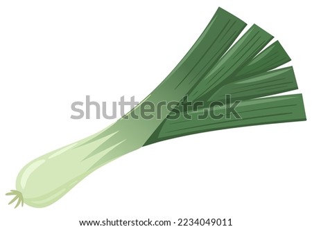 Cartoon fresh green leek. Seasoning raw onion, tasty organic vegetables for healthy lifestyle flat vector illustration on white background
