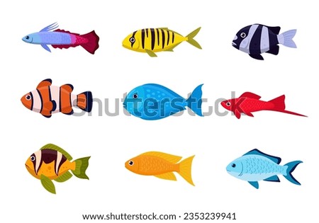 Cartoon exotic fish set. Tropical saltwater fish, clownfish, swordfish and emperor angelfish flat vector illustration collection