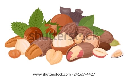 Nuts and seeds handful. Raw seeds bunch, almond, peanut, cashew and walnut mix, vegetarian diet organic mix flat vector illustration. Organic nuts mix