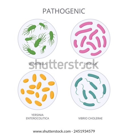 Pathogenic bacteria. Cartoon biological microorganism, bad microbes and bacteria, pathogenic flora microorganism flat vector illustration. Bad microbiota in petri dish