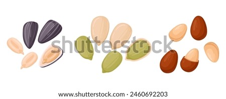 Cartoon seeds. Organic raw sunflower seeds, pumpkin seeds and pine nuts, tasty snacks for vegetarian diet flat vector illustration set. Delicious seeds on white