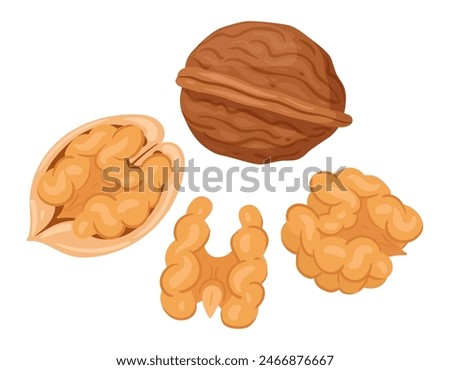 Similar – Image, Stock Photo walnuts Walnut Walnuts Nut