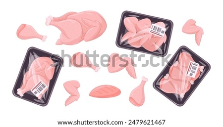 Chicken meat. Raw chicken or turkey with legs and wings, chicken fillet and frozen chicken meat flat vector illustration set. Turkey meat on white background