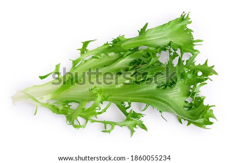 Fresh green leaves of endive frisee chicory salad isolated on white background with clipping path and full depth of field. Top view. Flat lay Foto d'archivio © 