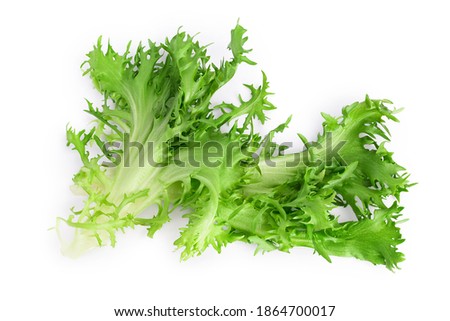 Fresh green leaves of endive frisee chicory salad isolated on white background with clipping path and full depth of field. Top view. Flat lay Stock foto © 