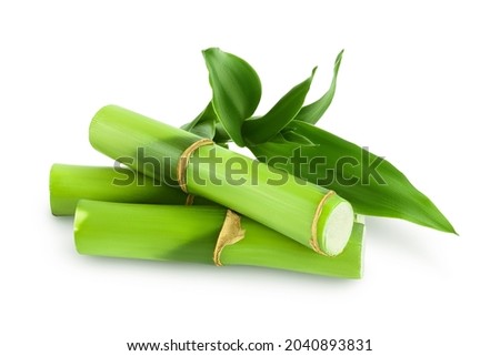 Green bamboo with leaves isolated on white background with clipping path and full depth of field Stockfoto © 