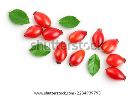 Similar – Image, Stock Photo These are rosehips