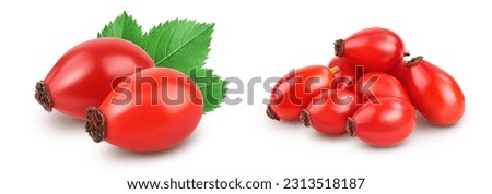 Similar – Image, Stock Photo These are rosehips