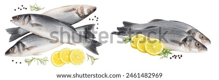 Similar – Foto Bild Zubereitung von Bass-Fischfilets in mediterraner Sauce mit Tomaten, Oliven und Kapern in einer Backform auf rustikalem Holzgrund mit Zutaten. Ansicht von oben