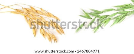 Similar – Image, Stock Photo barley Food Grain Dough
