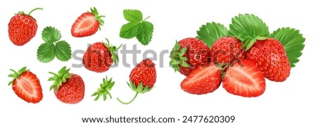 Similar – Image, Stock Photo Variety of fresh green potted culinary herbs in green plastic pots ready to plant outdoors in a backyard garden