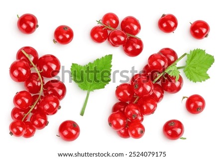 Similar – Foto Bild saftige Rote Johannisbeeren