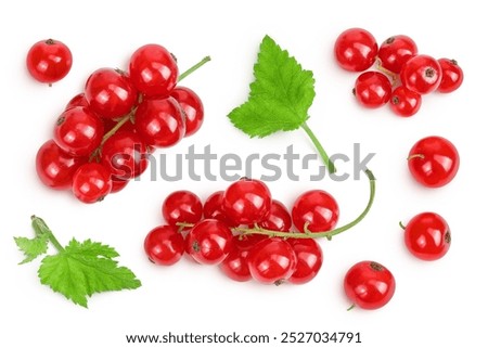 Similar – Foto Bild saftige Rote Johannisbeeren