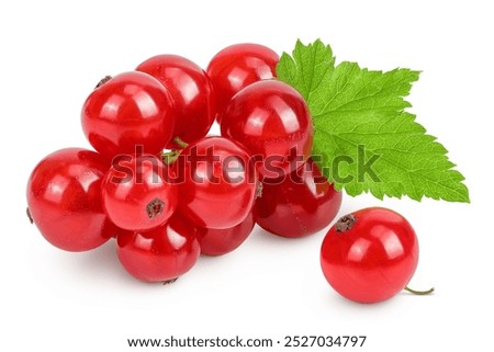 Foto Bild saftige Rote Johannisbeeren