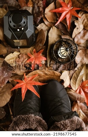 Still life with autumn nuances, selective focus, blurred background Photo stock © 