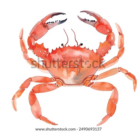 Watercolor red crab isolated on white. Hand painted illustration