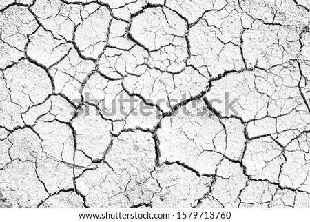 Similar – Image, Stock Photo Abstract texture. Dry soil with cracks.
