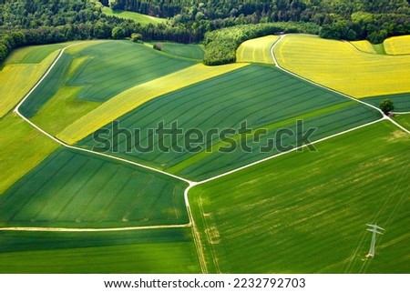 Similar – Image, Stock Photo Field of rape without horizon with two guide tracks