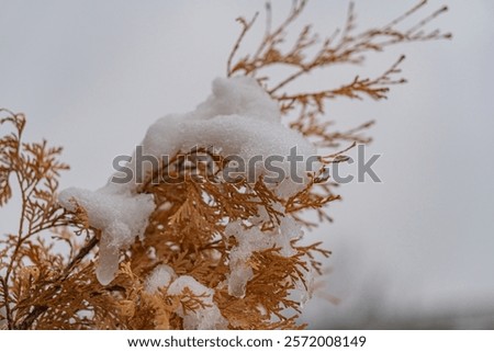 Similar – Foto Bild Noch ein Schatten im Treppenhaus