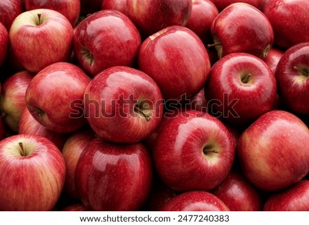 Similar – Image, Stock Photo One fresh red organic apple on a blue studio background