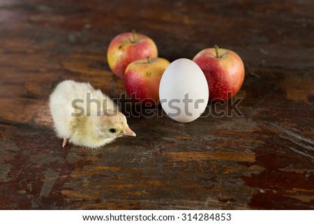 Chicks, eggs, apples on a wooden floor.