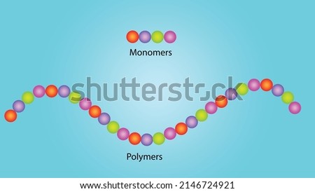 monomers and polymers Repeating units of the monomer as a part of a polymer,