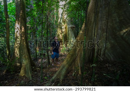 Man looking at large tree in the jungle