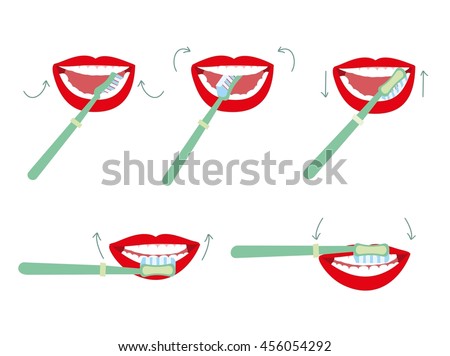 Brushing tooth vector illustration. How to brush your teeth rightly guide.
Correct tooth brushing with  using  toothbrush.
