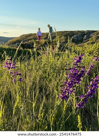 Similar – Foto Bild Kind geht durch Blumenwiese