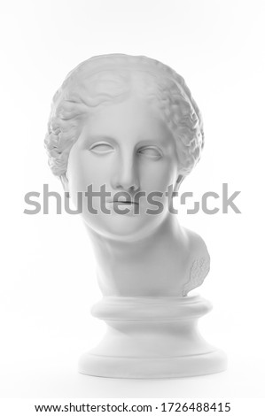 Gypsum copy of ancient statue Venus head isolated on white background. Plaster sculpture woman face. Stok fotoğraf © 