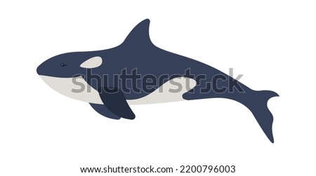 Killer whale Arctic Wildlife Animal. Vector illustration