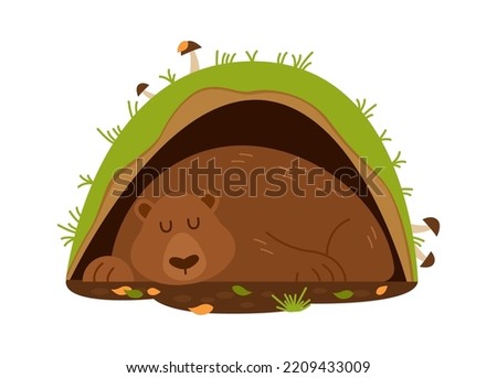 Sleeping bear in the burrow. Vector illustration