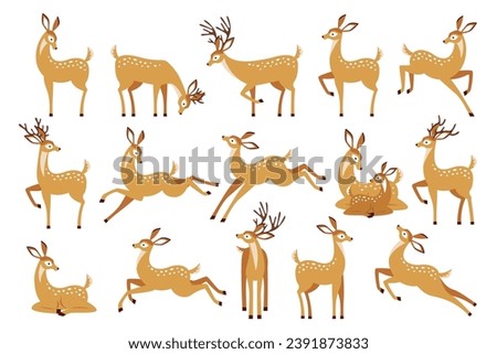 Cartoon deer wild animal forest fauna standing, lying, jumping, drinking and grazing set isolated on white. Cute bambi baby fawn, horny reindeer and spotted roe in various poses vector illustration