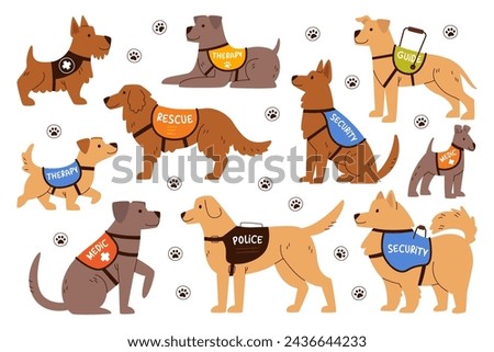 Similar – Image, Stock Photo Dog on a leash at the beach