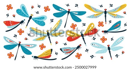 Beautiful dragonfly insect set with different wings decorative art patterns and ornaments. Collection of summer flying bugs zoology species vector illustration. Entomology and wildlife concept