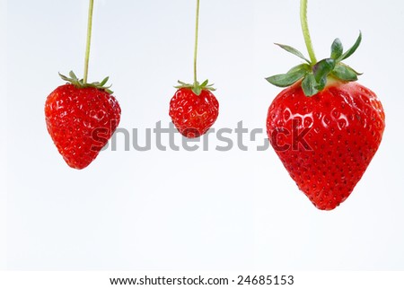 Three Different Sizes Of Strawberries Stock Photo 24685153 : Shutterstock