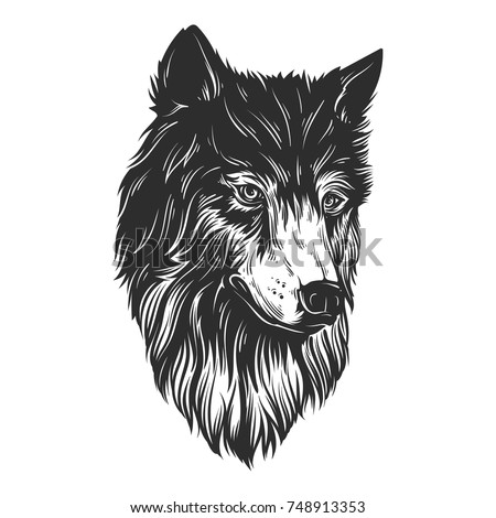 Download Wolf Drawings Wallpaper 1680x1050 Wallpoper 327482