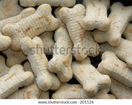 Close-up of dog bones