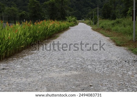 Similar – Image, Stock Photo Cobbled Rural Road in Andalusia Countryside, Spain