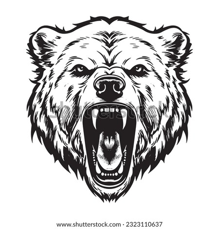 Growling bear head isolated on white background. Vector illustration.