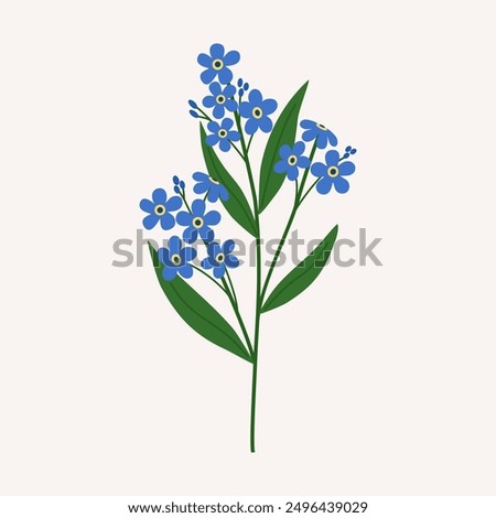 Similar – Image, Stock Photo forget-me-not or forget-me-not