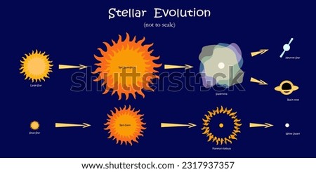 Stellar evolution step by step. Stars, planetary nebula, supernova, black hole, white dwarf, neutron star. Cartoon vector illustration on dark blue background. Not to scale.