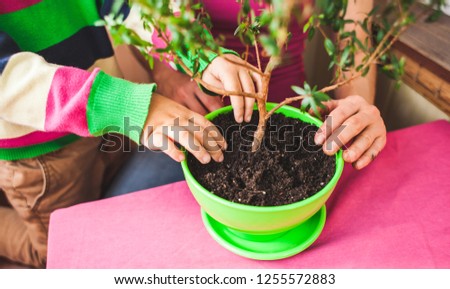 Replanting Plants - 