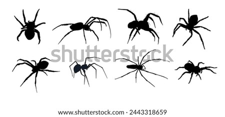 set of spider silhouette isolated	